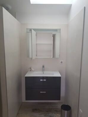 Séchoir à cheveux, savon, papier de toilette