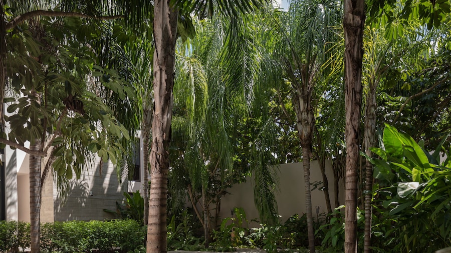 Kunuk Hotel Boutique