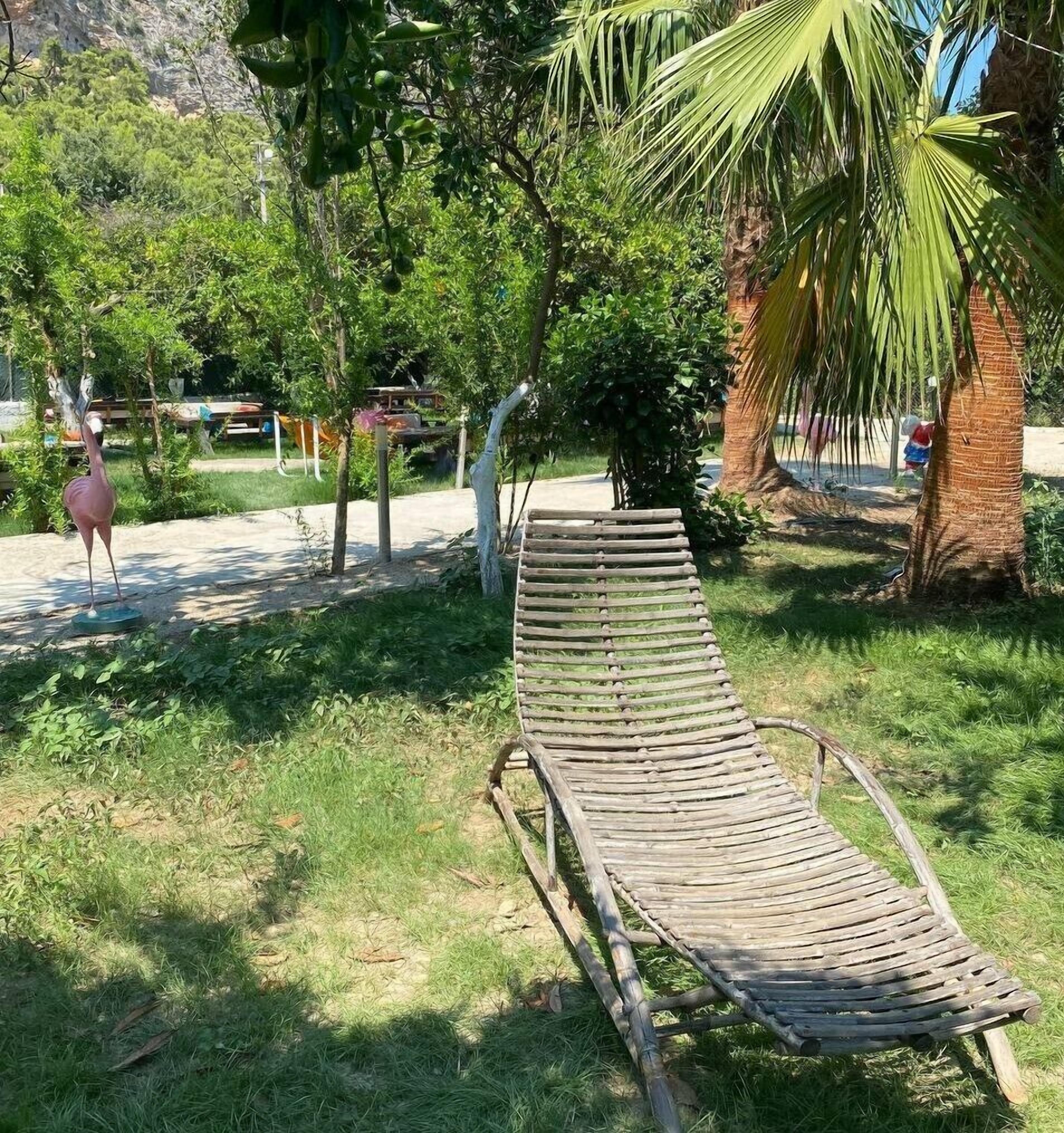 Una silla de madera en un jardín con diversas plantas y una palmera.