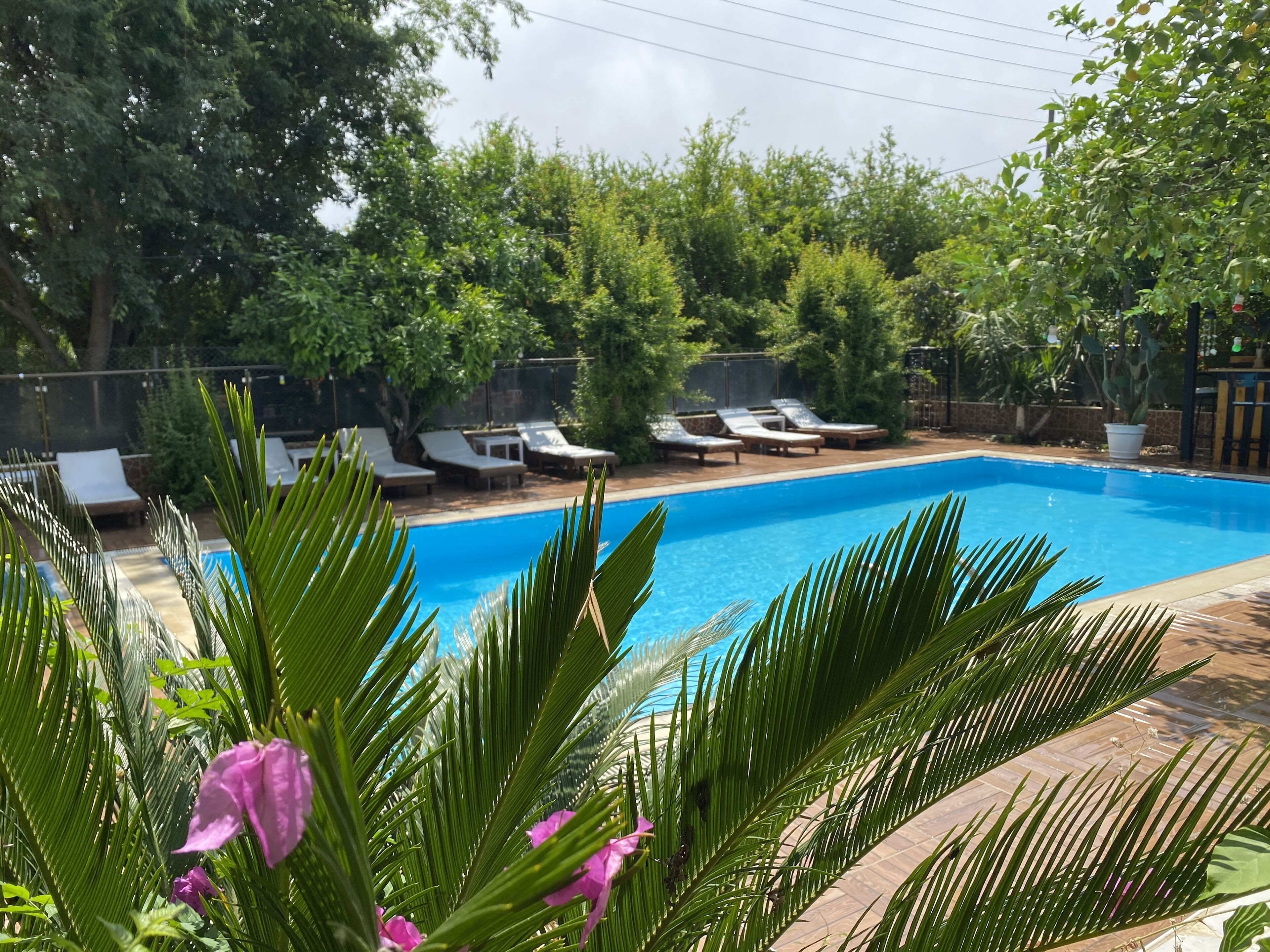 季节性开放的室外游泳池