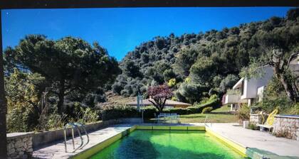 NISSA VINAIGRIER maison niçoise calme avec piscine et magnifique vue