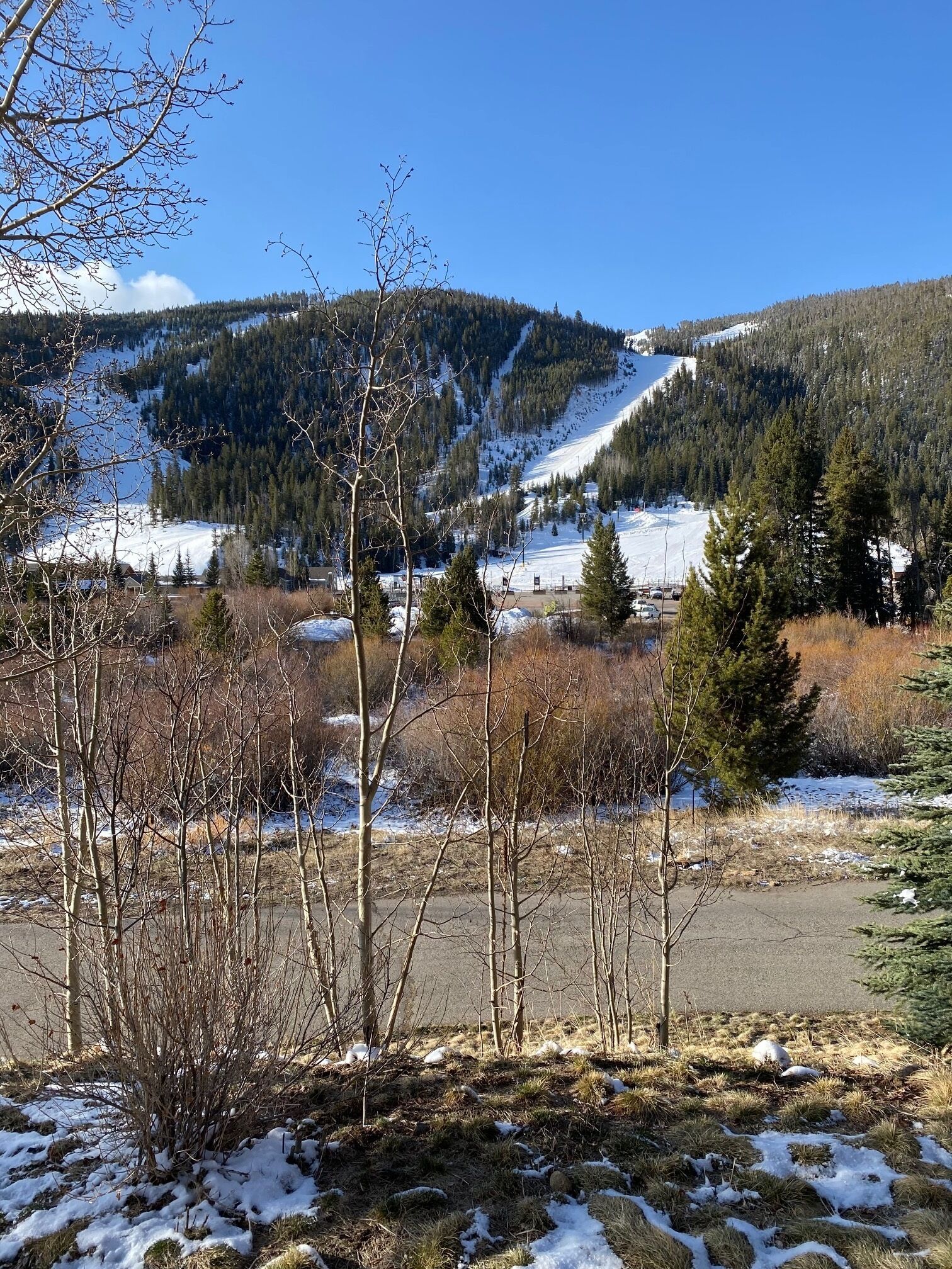 A snowy landscape with a clear sky, a road, and a forested mountain in the background.