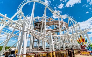 公寓客房 (WW410 East Magnolia Avenue Unit 101) | 外觀