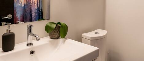 A bathroom with a white sink, a mirror, a toilet, and a framed map on the wall.