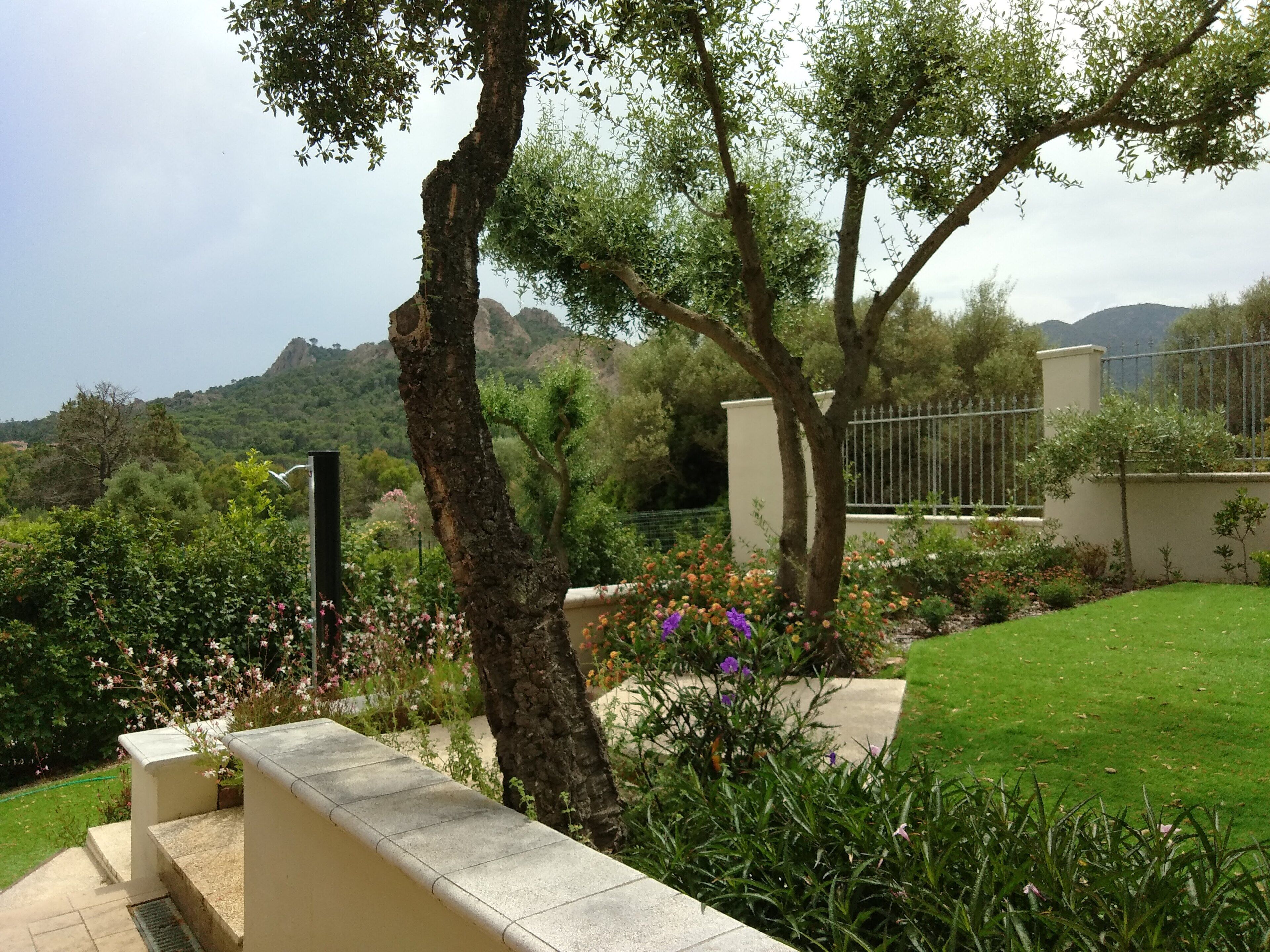 Parco della struttura