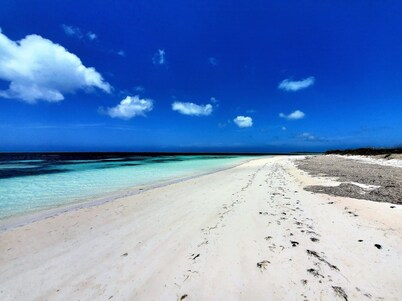 Private Waterfront  Home With 180* Sea Views - 2 Bed / 2Bath