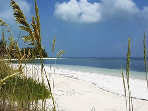 Plage à proximité, serviettes de plage
