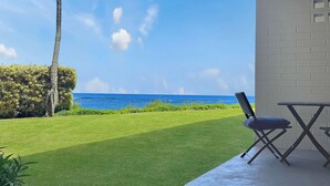 A patio with a view of the ocean, a palm tree, and a lawn.