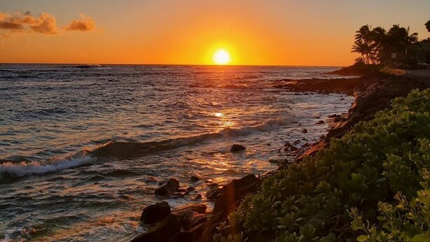 A sunset over the ocean with rocky coastline and vegetation.