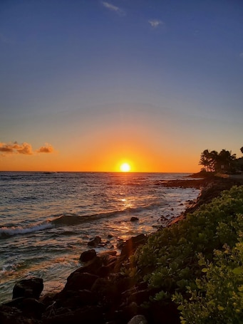 Beach nearby, sun loungers, beach towels. Oceanfront/Ground Floor, Sleeps 4, A/C!!, Steps to the ocean. LOCATION!!!!
