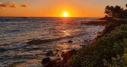 Oceanfront/Ground Floor, Sleeps 4, A/C!!, Steps to the ocean. LOCATION!!!!