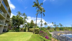 A hotel with a well-maintained lawn, palm trees, and a view of the ocean.