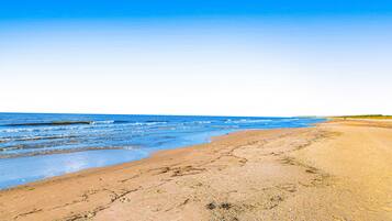 Playa en los alrededores