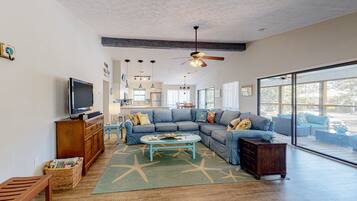 Televisión, chimenea y libros