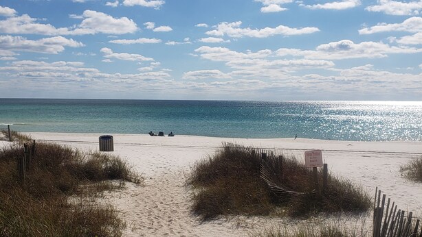 A sandy beach with a clear sky and a sign indicating the beach is 100% public.