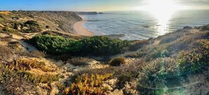 A coastal landscape with a sandy beach, dense vegetation, and a clear view of the ocean. - Lovely 1-Bed House in tradicional house arrifana (Pição)