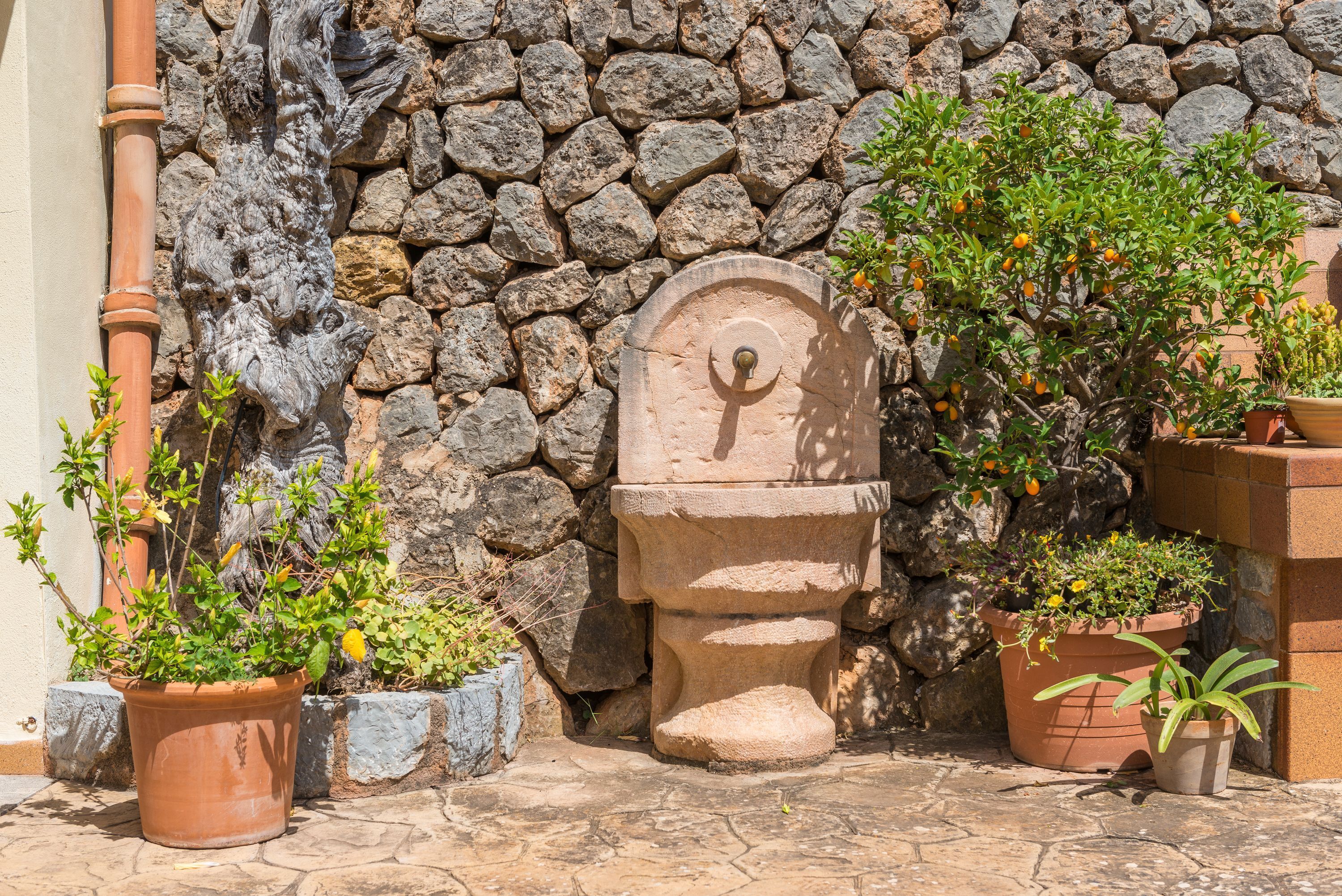 Terrein van de accommodatie