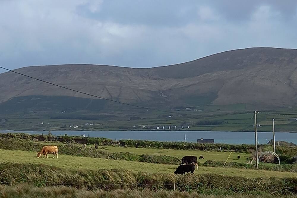 Stunning 1-Bed Apartment Valentia Island