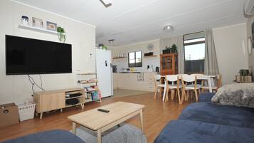 TV connectée, cheminée, livres
