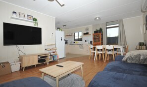 Smart TV, fireplace, books