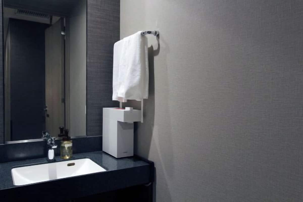Sèche-cheveux, chaussons, bidet, serviettes fournies