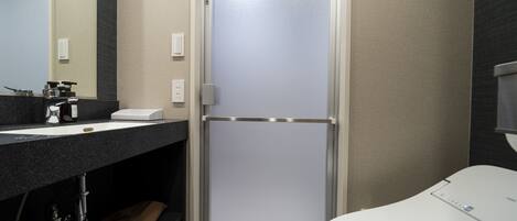 A modern bathroom with a white sink, a mirror, a shower enclosure, and a toilet.