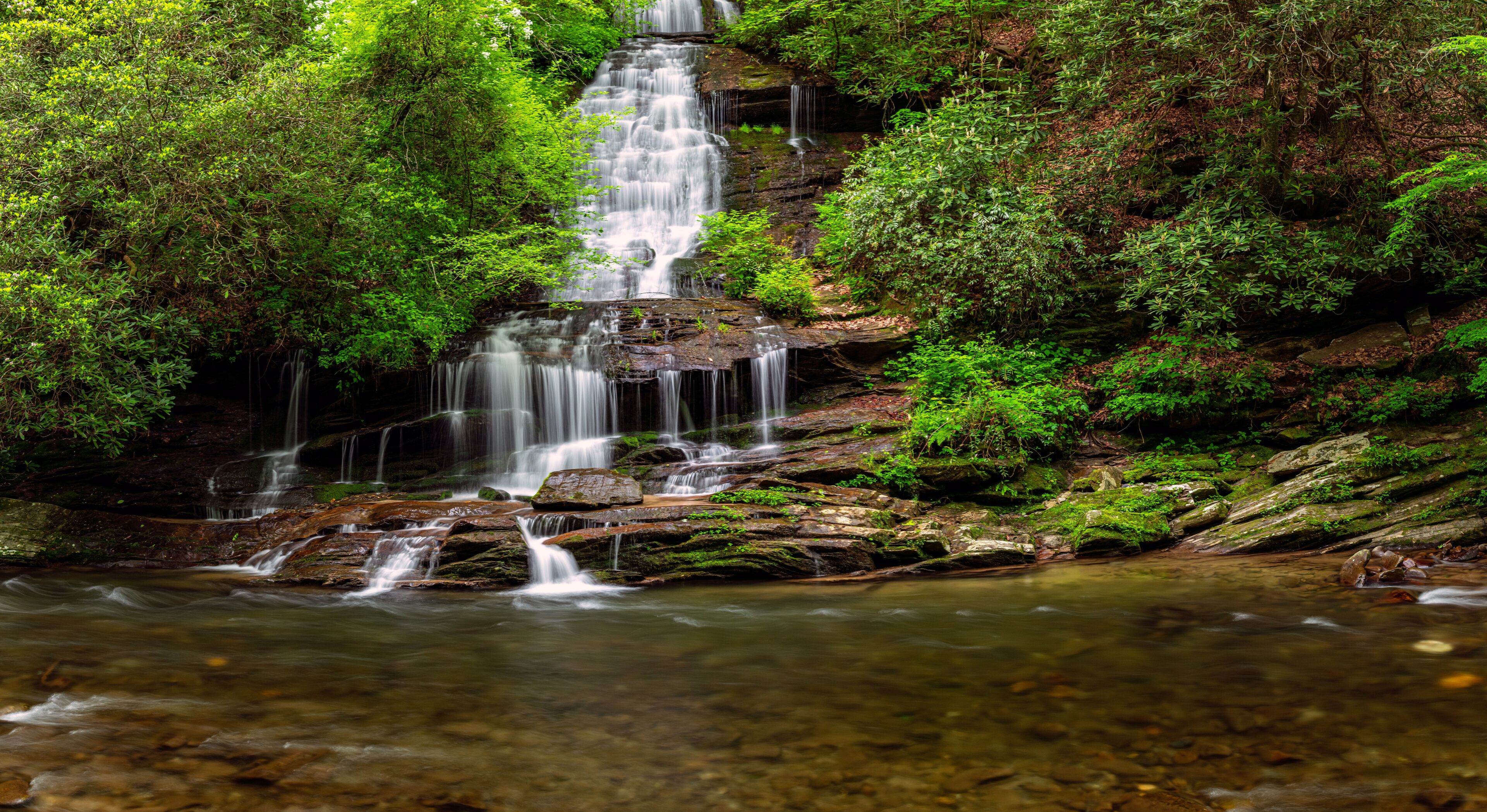 Una cascada que se precipita sobre rocas, rodeada de abundante vegetación.