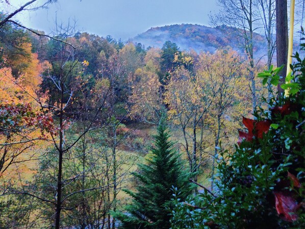 A forested landscape with a variety of trees and a hill in the background. - Stay in the Treehouse Lodge! Hot tub, game room, fire place, wrap around porch! (Bryson City)