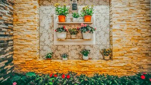 A stone wall with a built-in shelf holding potted plants. - Jolie House II - Villa 2 Double Rooms - Charming (Thành phố Đà Lạt)