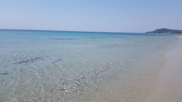 Playa en los alrededores 