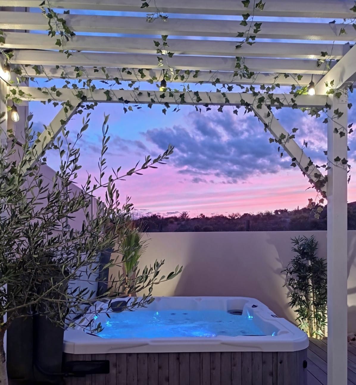 Un bain à remous sous une pergola couverte de lierre, entouré de plantes, et un logo pour « Nuit d’Été Hébergement ».