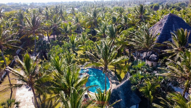 A tropical resort with a swimming pool surrounded by palm trees and thatched-roof structures. - Mambrui Villa (Malindi)