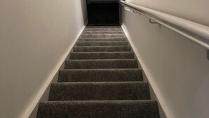 A carpeted staircase with a handrail, leading to a dark room at the top.