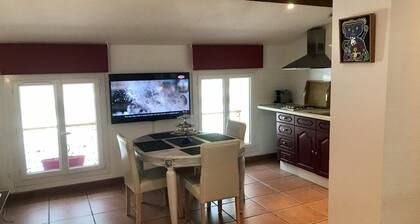 Charming 2-room apartment, Atypical 3 minutes from the thermal baths of Amélie-les-Bains