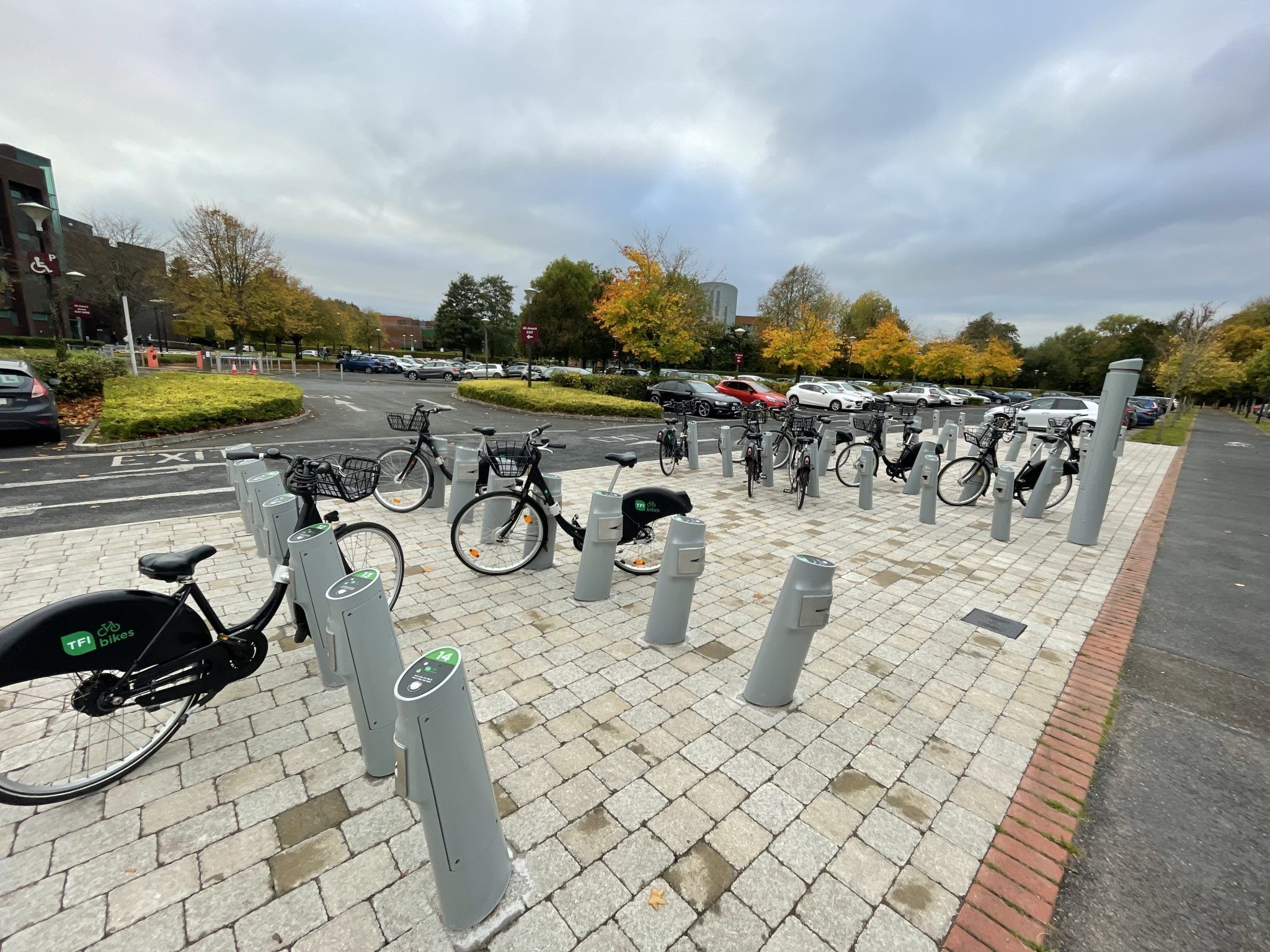 A bike parking area with multiple bicycles and a few cars parked nearby.