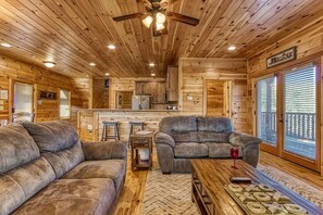 TV, fireplace, video games, DVD player