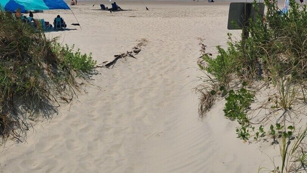 På stranden
