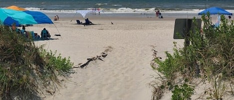 Playa en los alrededores