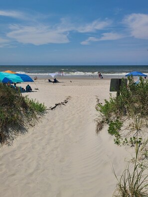 A beach with a sandy path leading to the water, umbrellas, and beach chairs.