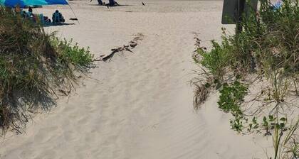 Relax at Easy Peasy Ocean Breezy, a cozy oceanfront condo in Oak Island, perfect for 6!