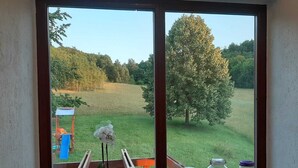 A window with a view of a grassy field, a tree, and outdoor furniture. - Amazing paradise Una (Donji Lapac)