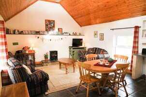 A cozy living room with a fireplace, a television, a dining area with wooden chairs, and a bookshelf filled with books and decorations.