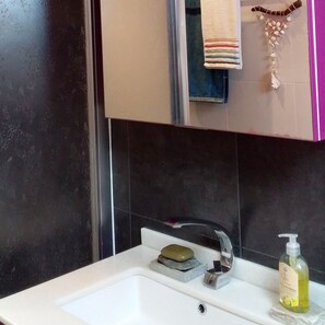 Shower, hair dryer, bidet, towels