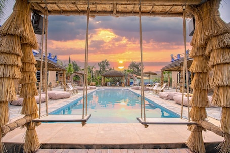 Outdoor pool, sun loungers