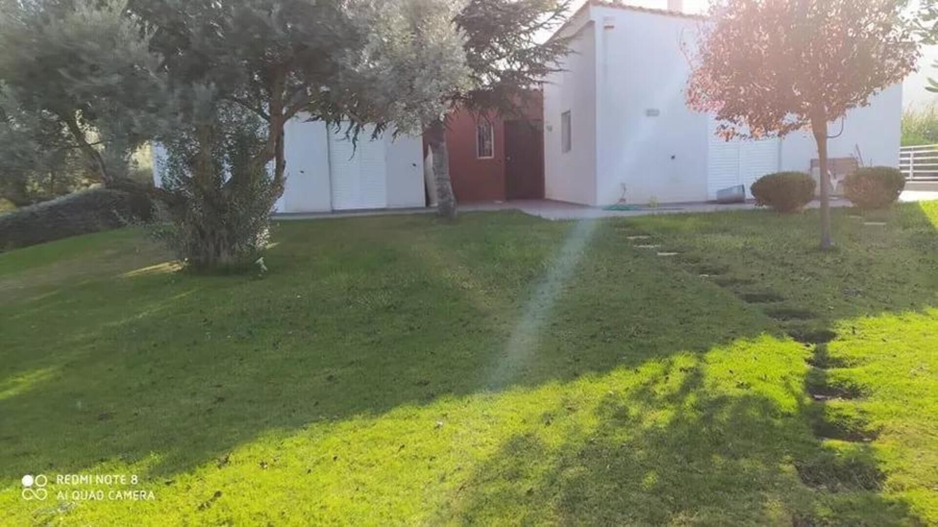 A well-maintained lawn with a pathway leading to a building.