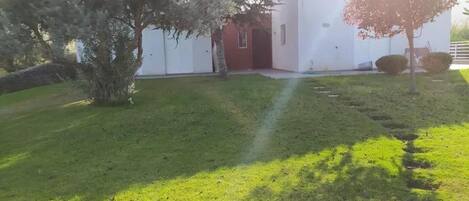 A well-maintained lawn with a pathway leading to a building.