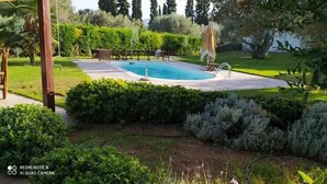 Una piscina rodeada de setos cuidados y un césped bien mantenido.