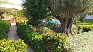 Un jardín con un sendero que conduce a una piscina, rodeado de arbustos y árboles.