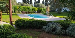 A swimming pool surrounded by well-maintained hedges and a grassy lawn.