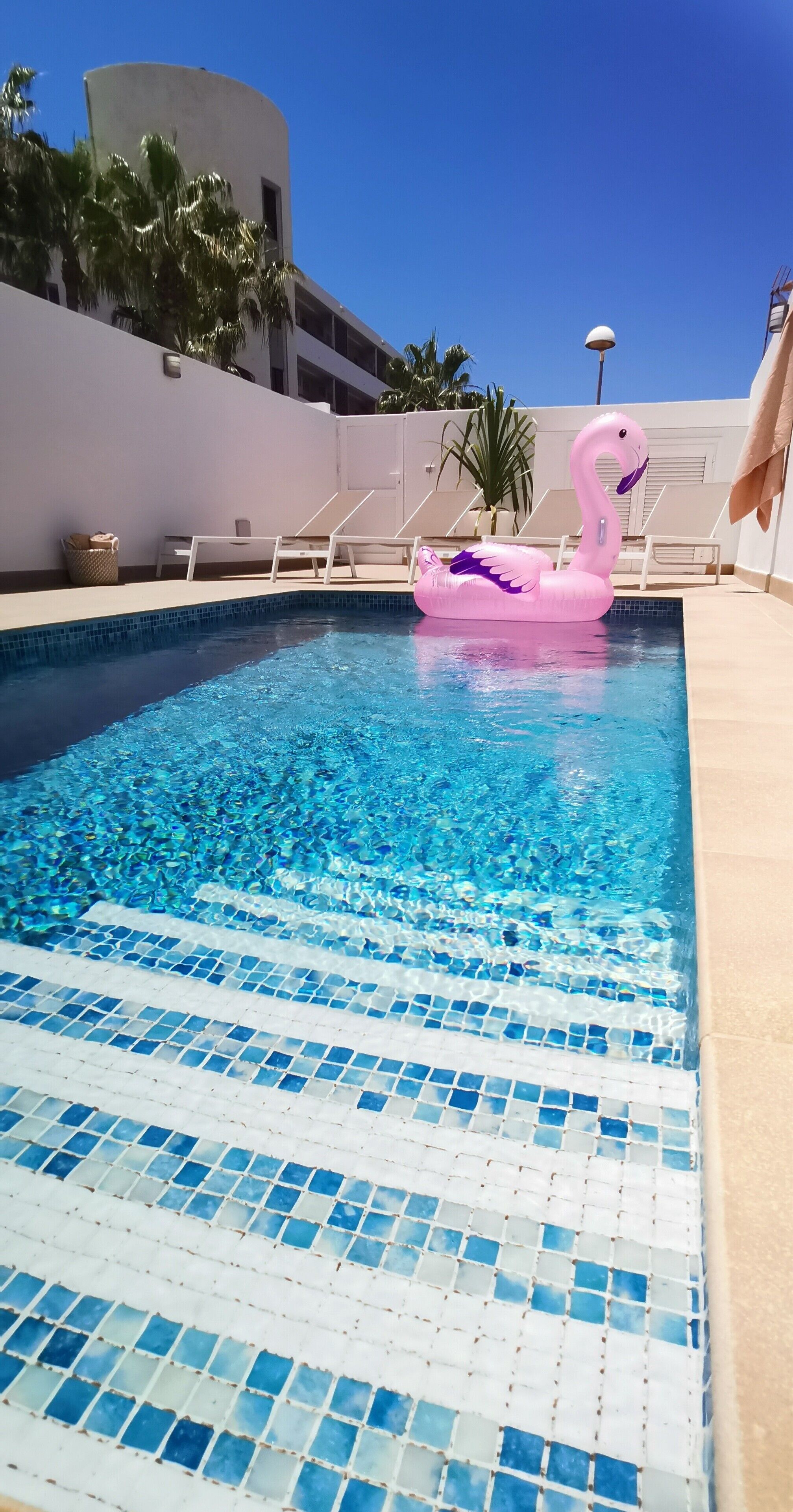 Una piscina con un gonfiabile a forma di fenicottero rosa, acqua cristallina e un bordo piastrellato.